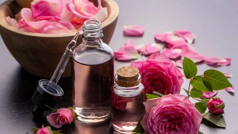گلاب کاشمر با عطر مطبوع و خلوص طبیعی